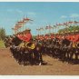 FAMED RCMP COLOURFUL  MUSICAL RIDE -C-281