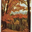 SOUVENIR LACHUTE QUEBEC IN THE FALL OLDER PC(C-138)