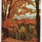 SOUVENIR LACHUTE QUEBEC IN THE FALL OLDER PC(C-138)
