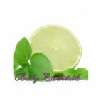 16oz Citrus Basil Sea Salts - All Natural Sea Salts