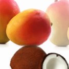 16oz Coconuts for Mangos - Fresh strong fragrance
