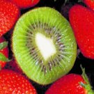 16oz Kiwi Strawberry - Natural Sea Salts Fruity Fragrance