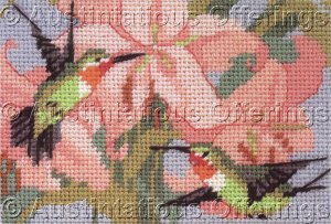 Rossi Needlepoint Hummingbirds on Lilies With Frame Kit