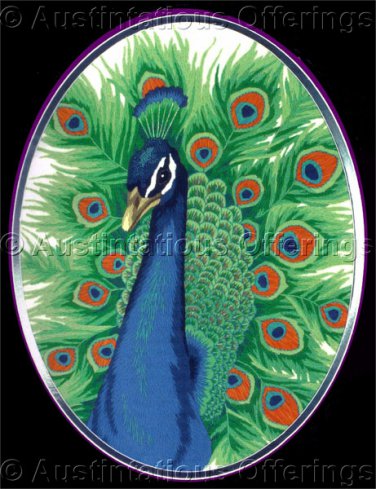 Rare Henderson Wildlife Art Repro Male Peafowl Crewel Embroidery Kit Indian Peacock Williams