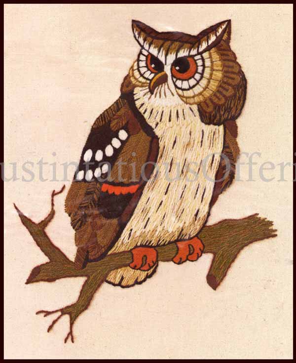 Rare Eva Keeler Bird Of Prey Crewel Embroidery Kit Horned Owl