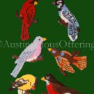 Rare Song Bird Magnet Set Plastic Canvas Needlepoint Kit