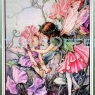 RARE CECILY MARY BARKER FLOWER FAIRIES EMBELLISHED CROSS STITCH KIT SWEETPEA