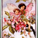 RARE CECILY MARY BARKER FLOWER FAIRIES EMBELLISHED CROSS STITCH KIT APPLE BLOSSOM