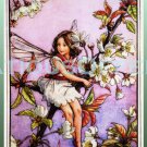 RARE CECILY MARY BARKER FLOWER FAIRIES EMBELLISHED CROSS STITCH KIT WILD CHERRY BLOSSOM