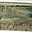 Derby lane Greyhound Postcard Florida unused Linen ST Petersburg FL