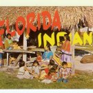 Florida Seminole Indians chrome Postcard covered home