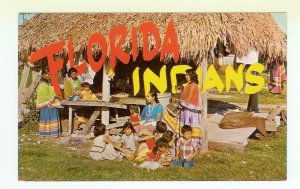 Florida Seminole Indians chrome Postcard covered home