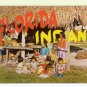 Florida Seminole Indians chrome Postcard covered home