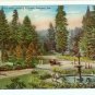 City Park Portland OR Oregon showing Fountain Model T car postcard