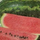 Cobb Gem Watermelon Seeds Bulk- 60