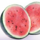 Sugarbaby Watermelon Seeds Bulk - 80