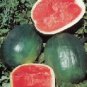Black Diamond Watermelon- 60