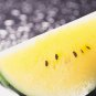 Tastigold Watermelon Seeds- 90
