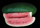 Tom Watson Watermelon Seeds- 60