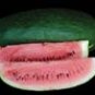 Tom Watson Watermelon Seeds- 60