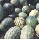 Florida Market Watermelon Seeds- 60