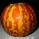 Tigger Melon Seeds- 30
