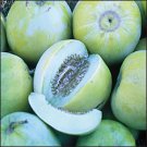 Sakata's Sweet Asian Melon Seeds- 60