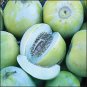 Sakata's Sweet Asian Melon Seeds- 60