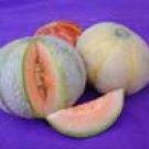 Minnesota Midget Melon Seeds- 60