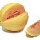 Crenshaw Melon Seeds- 60