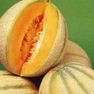 Hale's Best Cantaloupe Seeds-60
