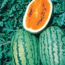 OrangeGlo Watermelon Seeds- 60
