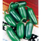 Jalapeno Pepper Seeds (Bulk)- 1000
