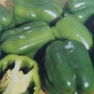Keystone Bell Pepper Seeds (Bulk)- 1000