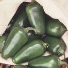 Tam Jalapeno -mild heat (Bulk)- 200
