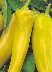 Sweet Banana Peppers (Bulk) -300