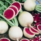 Watermelon Radish Seeds- 300