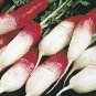 French Breakfast Radish Seeds- 300