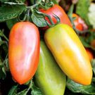 San Marzano Tomato Seeds- 200