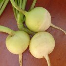 White Hailstone Radish Seeds- 300