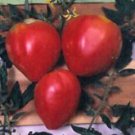 Oxheart  Pink Tomato Seeds- 200