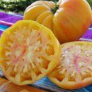 Old German Tomato Seeds- 200