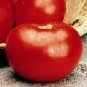 Marion Tomato Seeds- 200