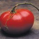 Marianna's Peace Tomato -200