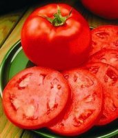 Homestead Tomato Seeds- 300