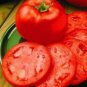 Homestead Tomato Seeds- 300