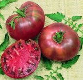 Cherokee Purple Tomato Seeds- 200