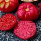 Caspian Pink Tomato Seeds- 100