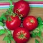 Ace 55 Tomato Seeds- 200