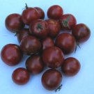 Black Cherry Tomato Seeds- 100